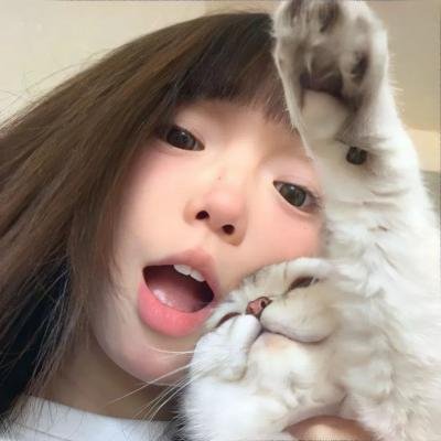 大盗明星梦